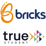 Bricks and True